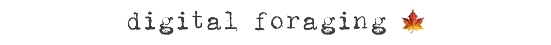 SS-Header-Digital-Foraging.png